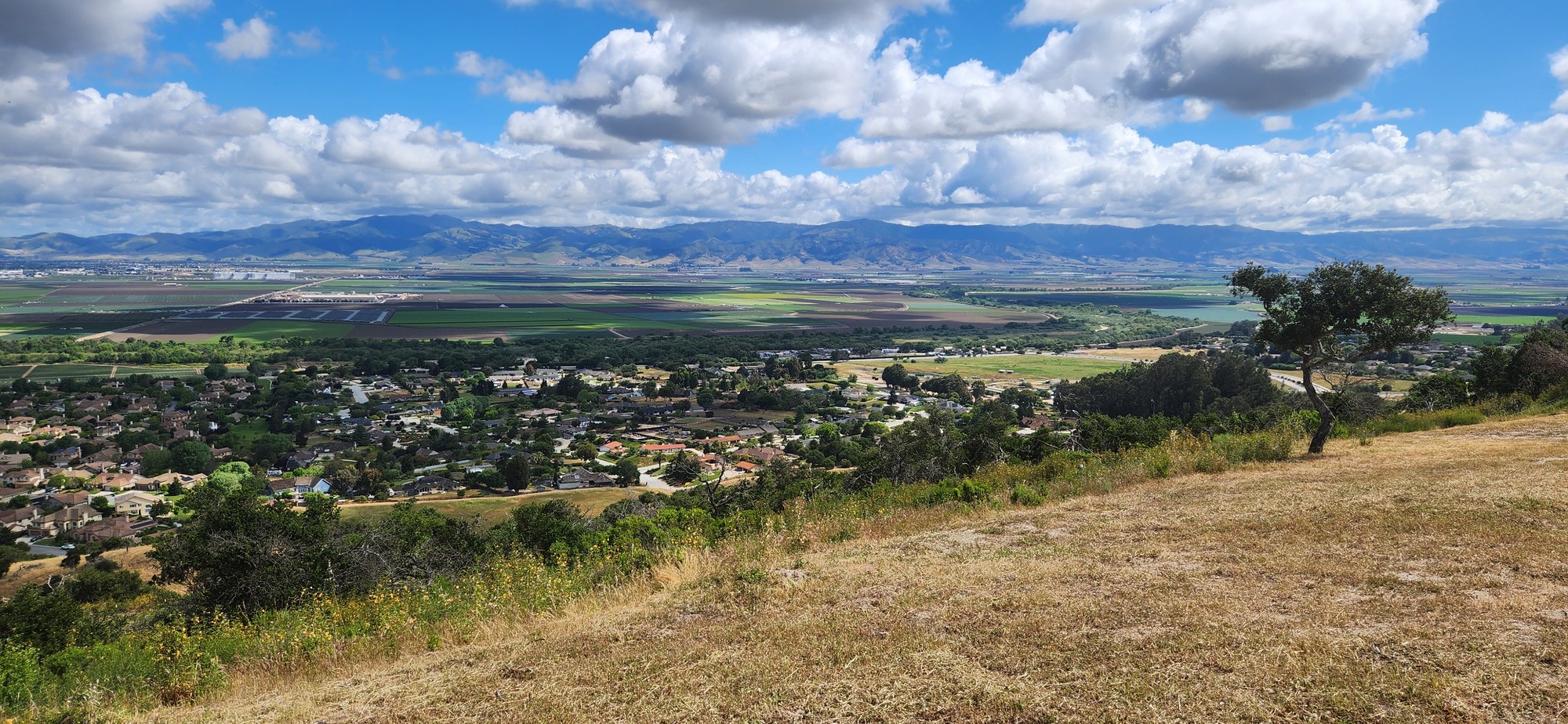The Salinas Valley floor from the top of the hill