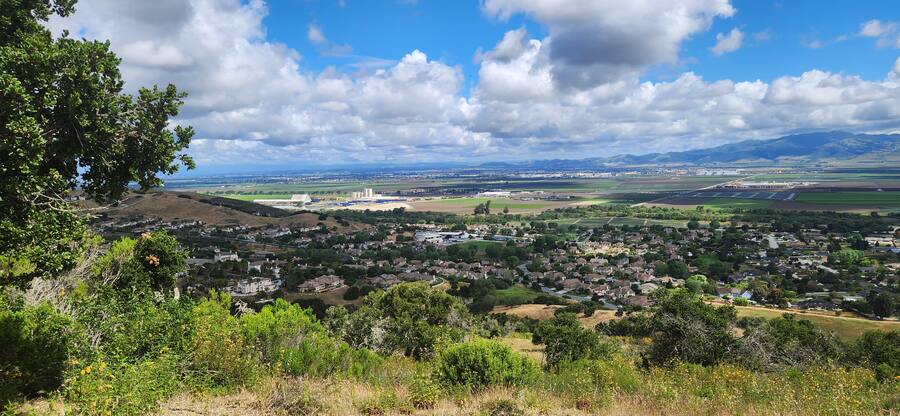 The valley laid out below the oak line