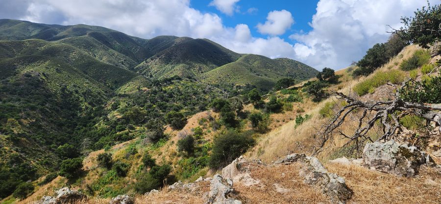 Green canyons on the back side of the ridge