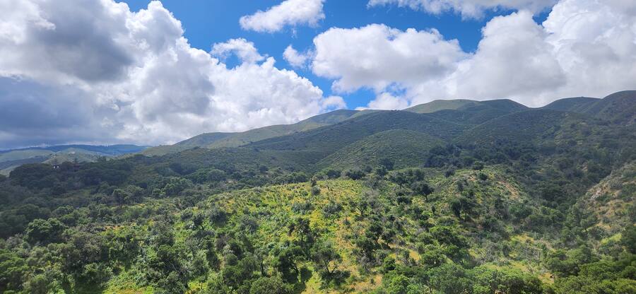 Green hills and weather moving in off the coast range