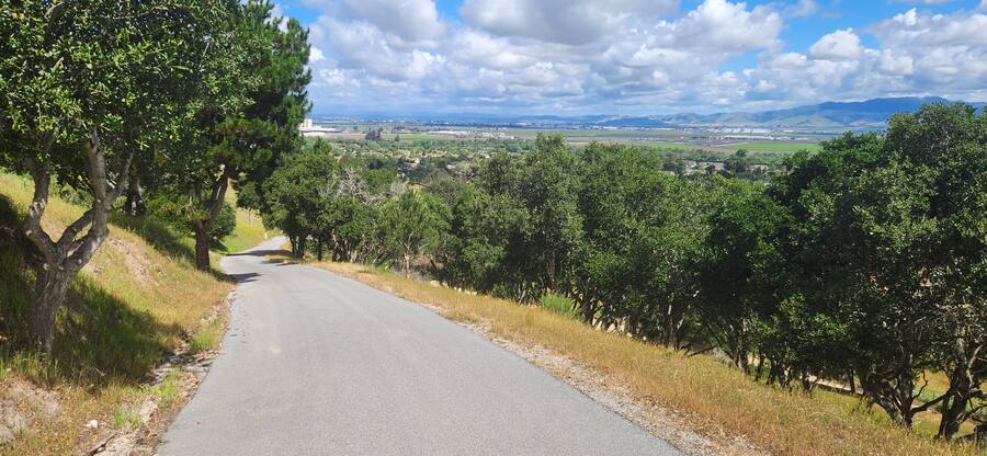 The ranch road climbing away from the valley