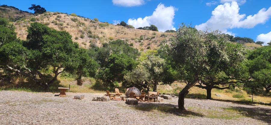 The fire circle and gathering ground under the oaks