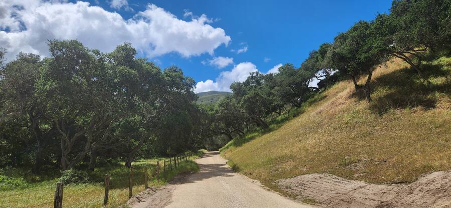Ranch road along the north fence line