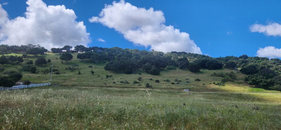 Open pasture on the ranch