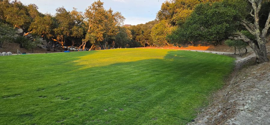 The grass play field in the canyon, ringed by oaks